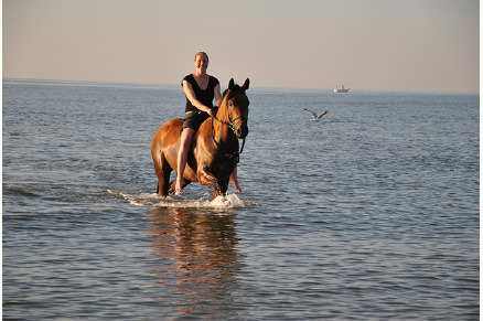 Stijlvolle accommodaties Domburg Holiday Resort StablesVMP014